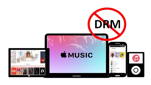 itunes音楽のdrmを解除する