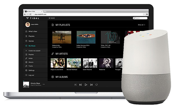 tidal google home